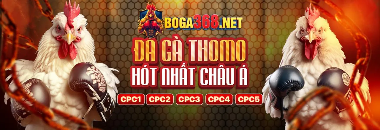 Hình ảnh chương trình đối tác kkwin code