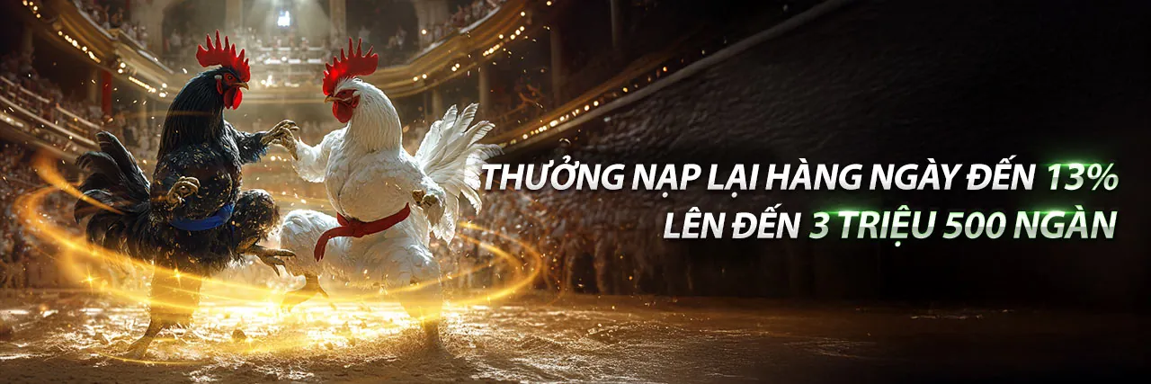 Đá Gà Trực Tuyến kkwin code
