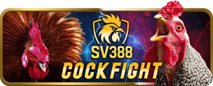 Nhập mã kkwin code